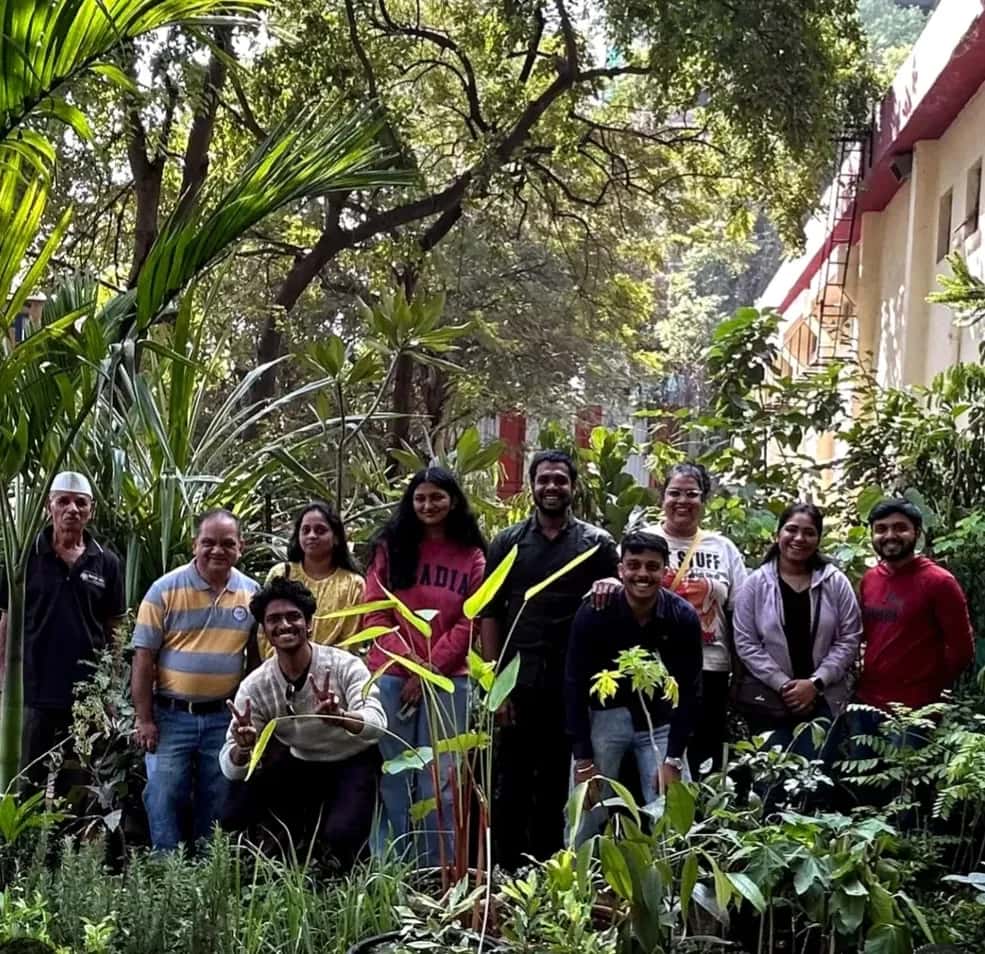 Urban Gardening: Balcony Oasis Basics photo 1