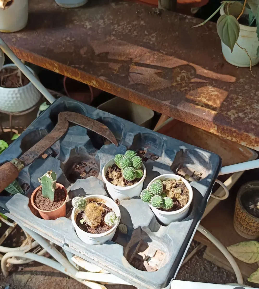 Coffee Cupping & Latte Art Workshop 3